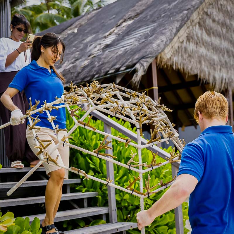 Finn's marine internship with Reefscapers at St Regis Maldives