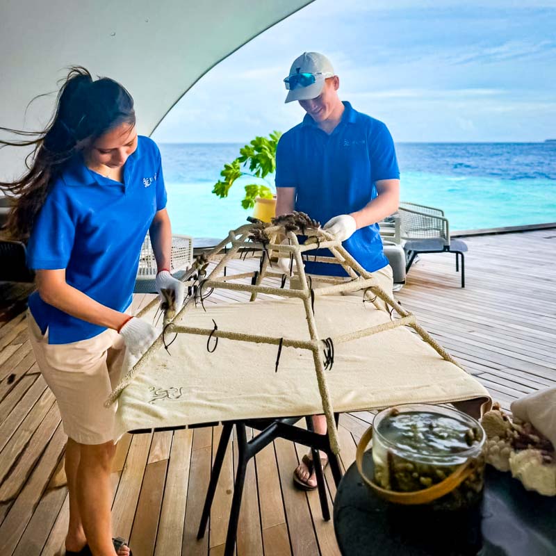 Finn's marine internship with Reefscapers at St Regis Maldives