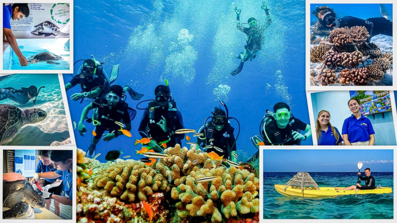 Marine Biology Internships Maldives