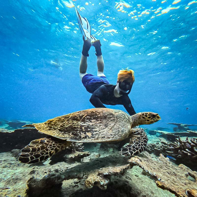 Finn's marine internship with Reefscapers at St Regis Maldives